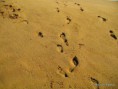 /album/strand/a18-jpg2/