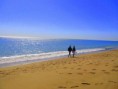 /album/strand/img-0032-jpg2/